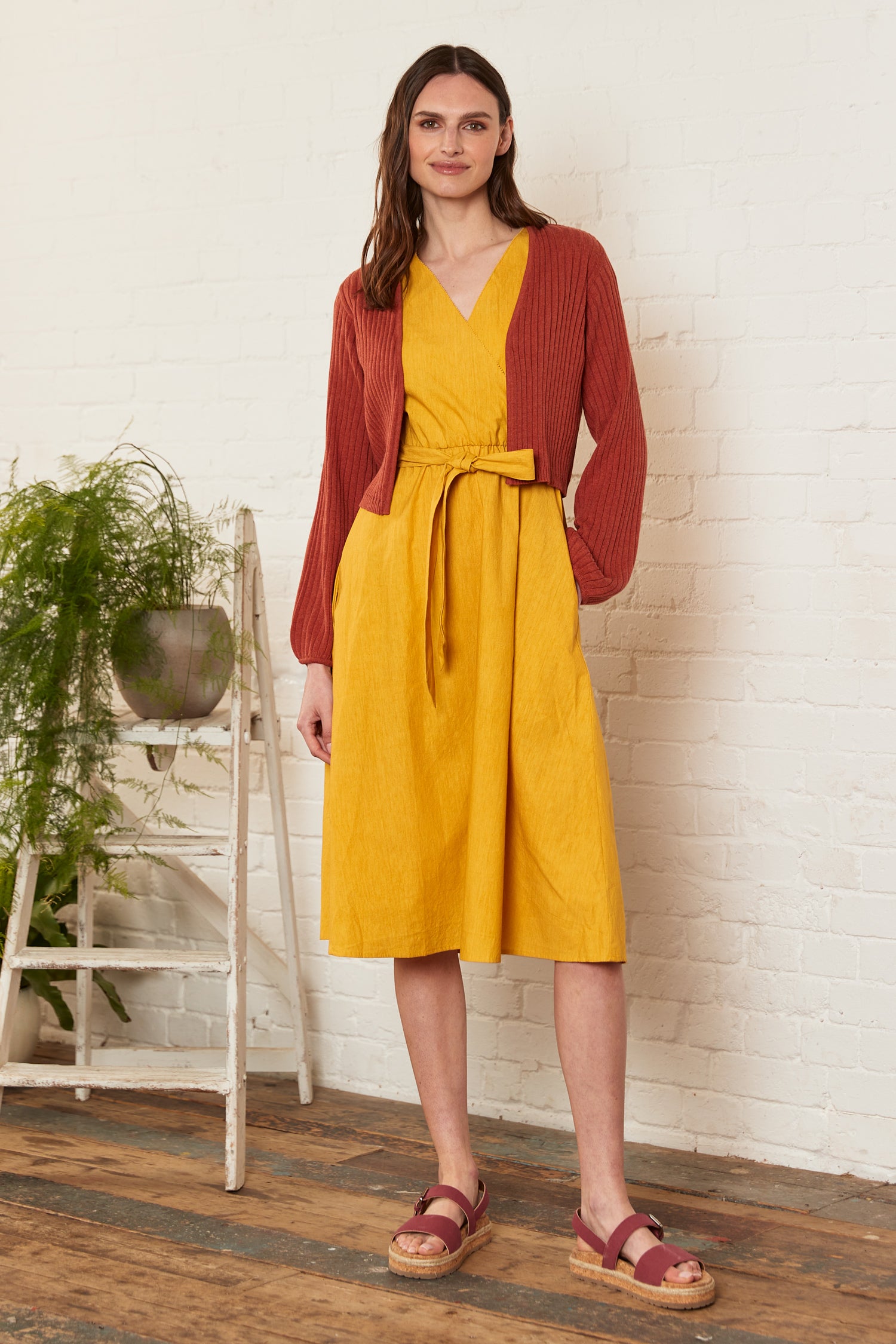 Cotton Poplin Dress