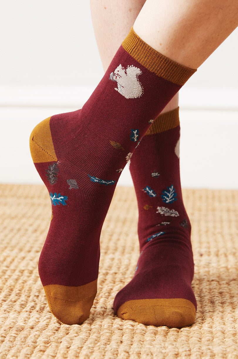 GOTS Organic Cotton Squirrel Socks