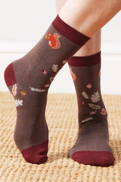 Organic Cotton Squirrel Socks
