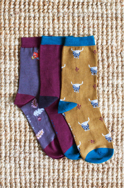 Box of 3 socks - Animals